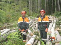 Рационально использовать и обновить