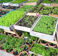 Областной смотр-конкурс